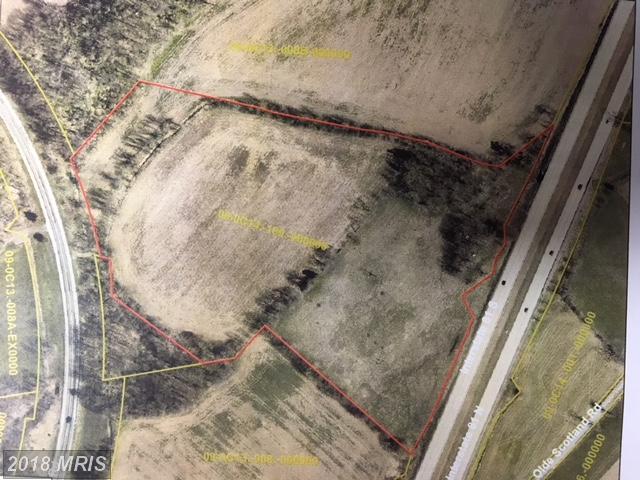Pine Stump Road - Photo 1