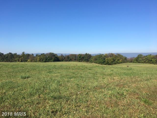 LOT 2 Shatzer Orchard Road - Photo 1