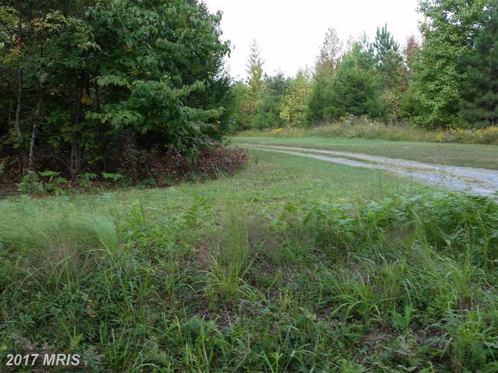 1765 Georges Mill Road - Photo 1
