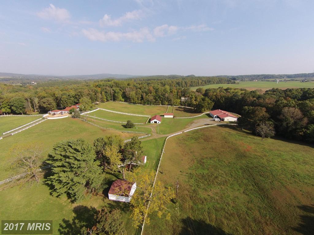 9113 Lees Ridge Road - Photo 1