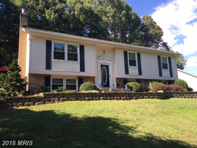 6304 Shannon Court - Photo 1