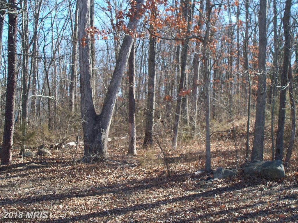 3 Davis Road - Photo 1