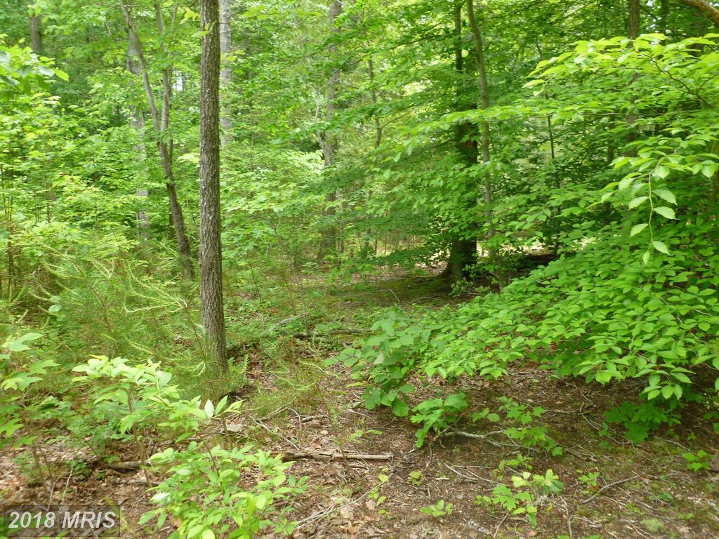 Rogers Ford Road - Photo 1