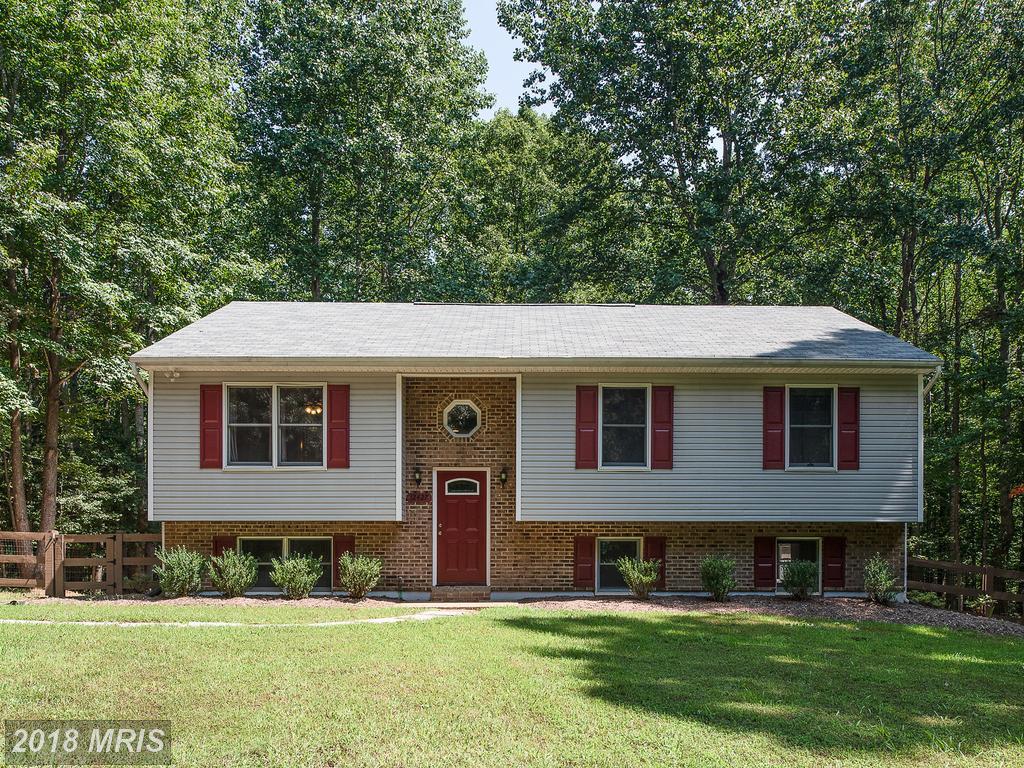 12427 Wright Way - Photo 1