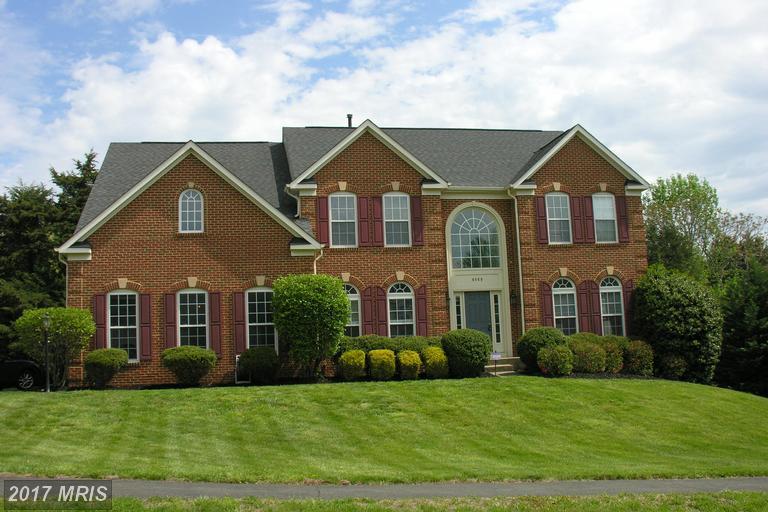 6869 Tulip Hill Drive - Photo 1