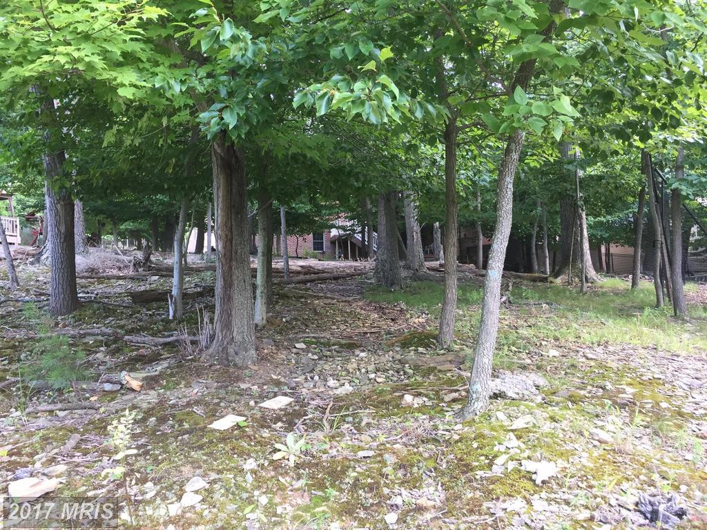 6702 Accipiter Drive - Photo 1