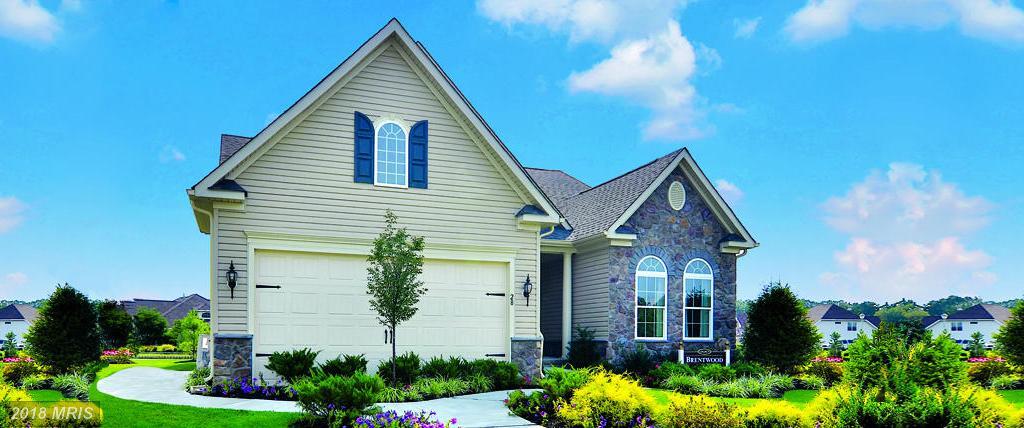 408 Conundrum Terrace - Photo 1