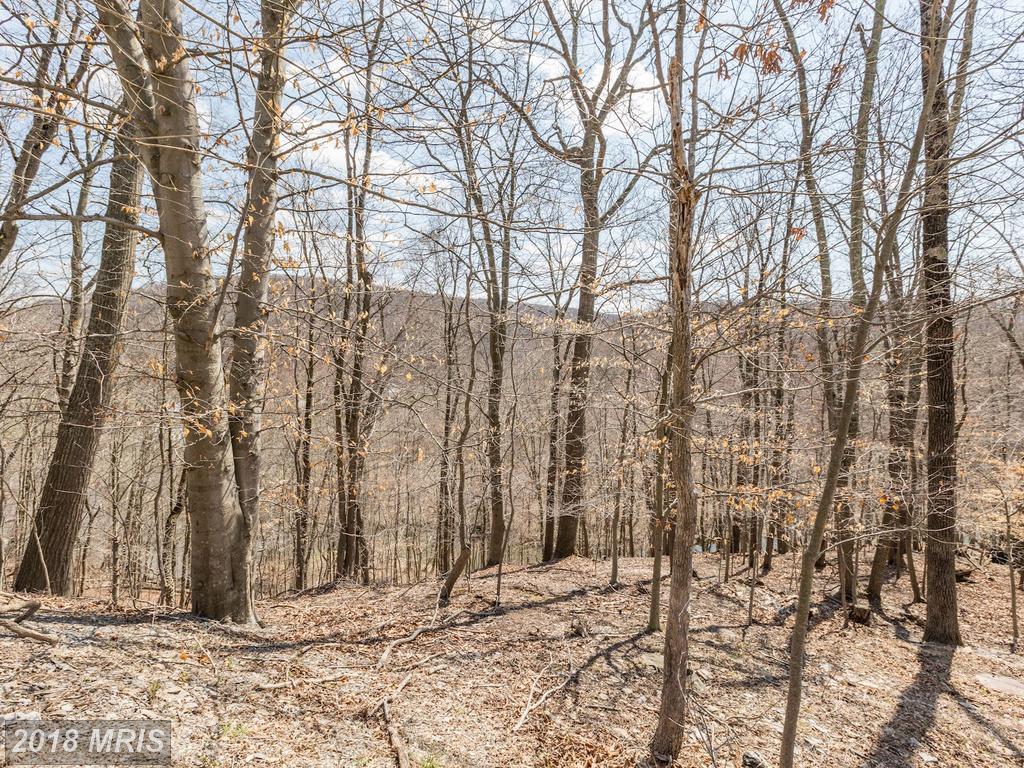 6708 Woodridge Road - Photo 1