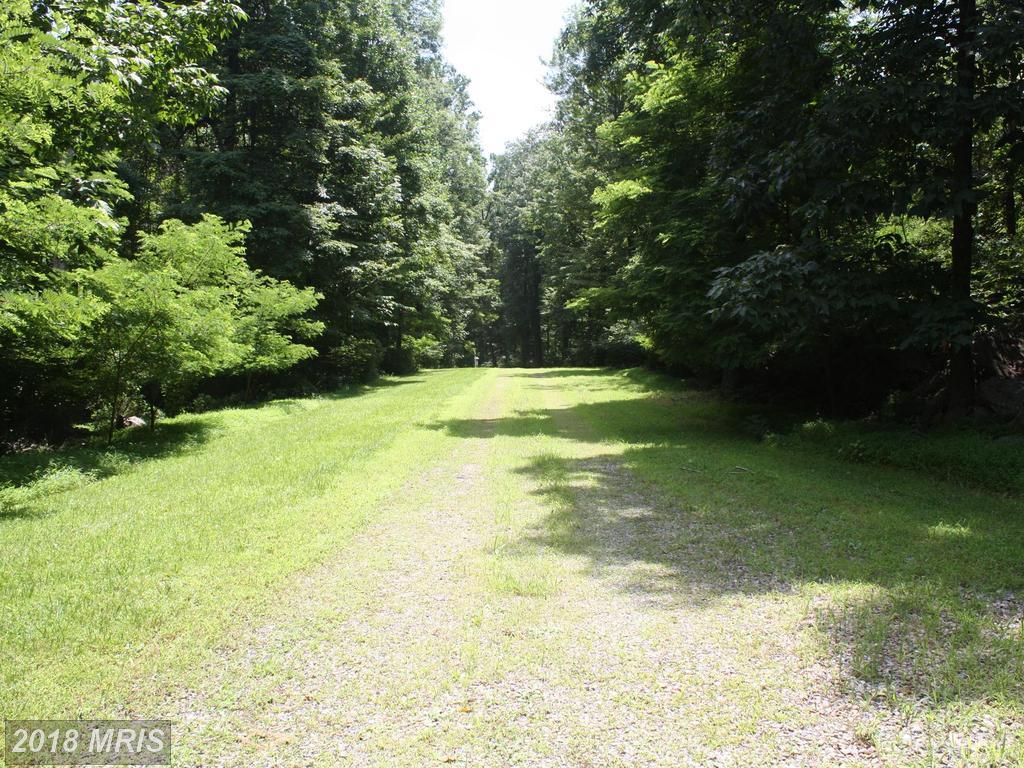 5120 Wigville Road - Photo 1