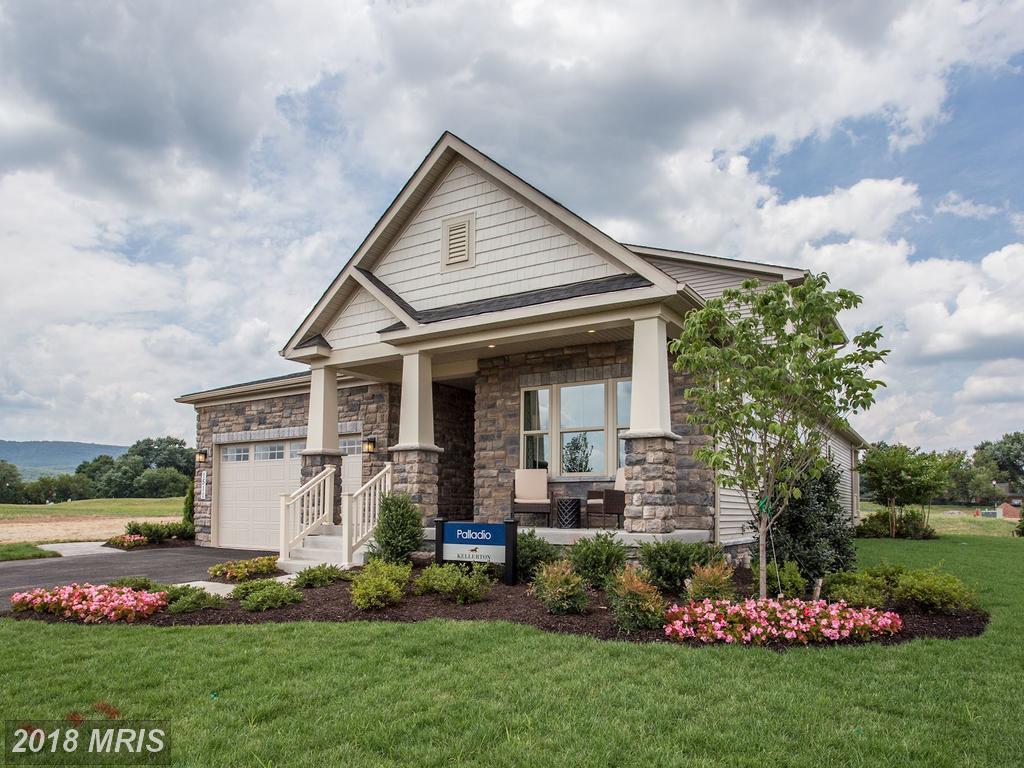 1403 Pedigree Street - Photo 1