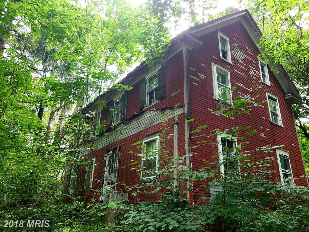 8221 Hollow Road - Photo 1
