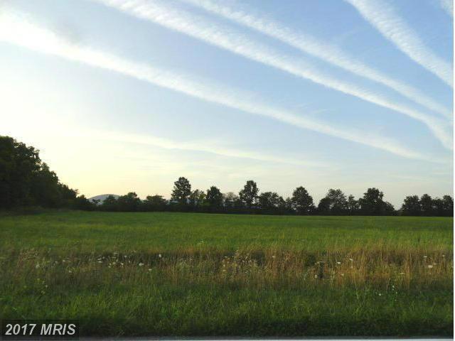 8202 Apples Church Road - Photo 1