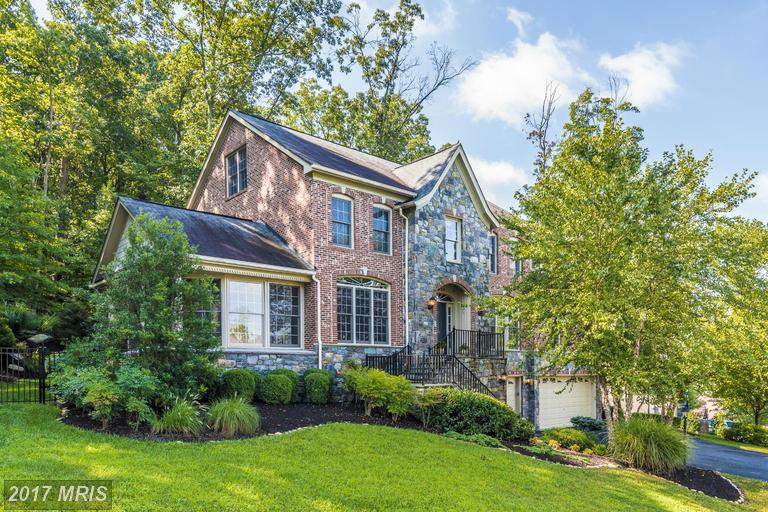6614 Accipiter Drive - Photo 1