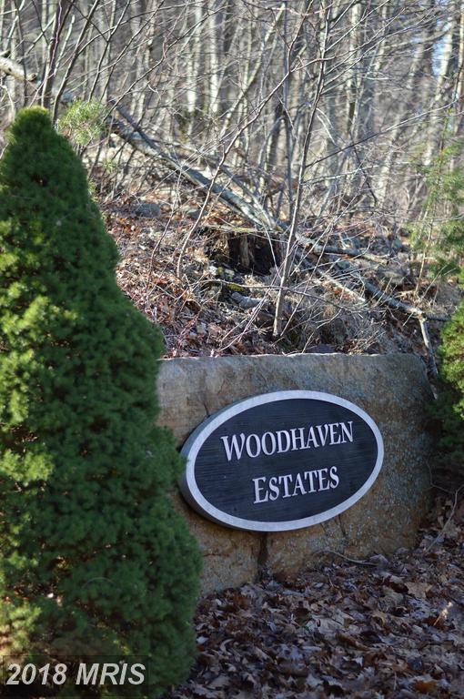Lot 2 Wardensville Pike - Photo 1