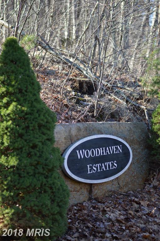 Lot 3 Wardensville Pike - Photo 1