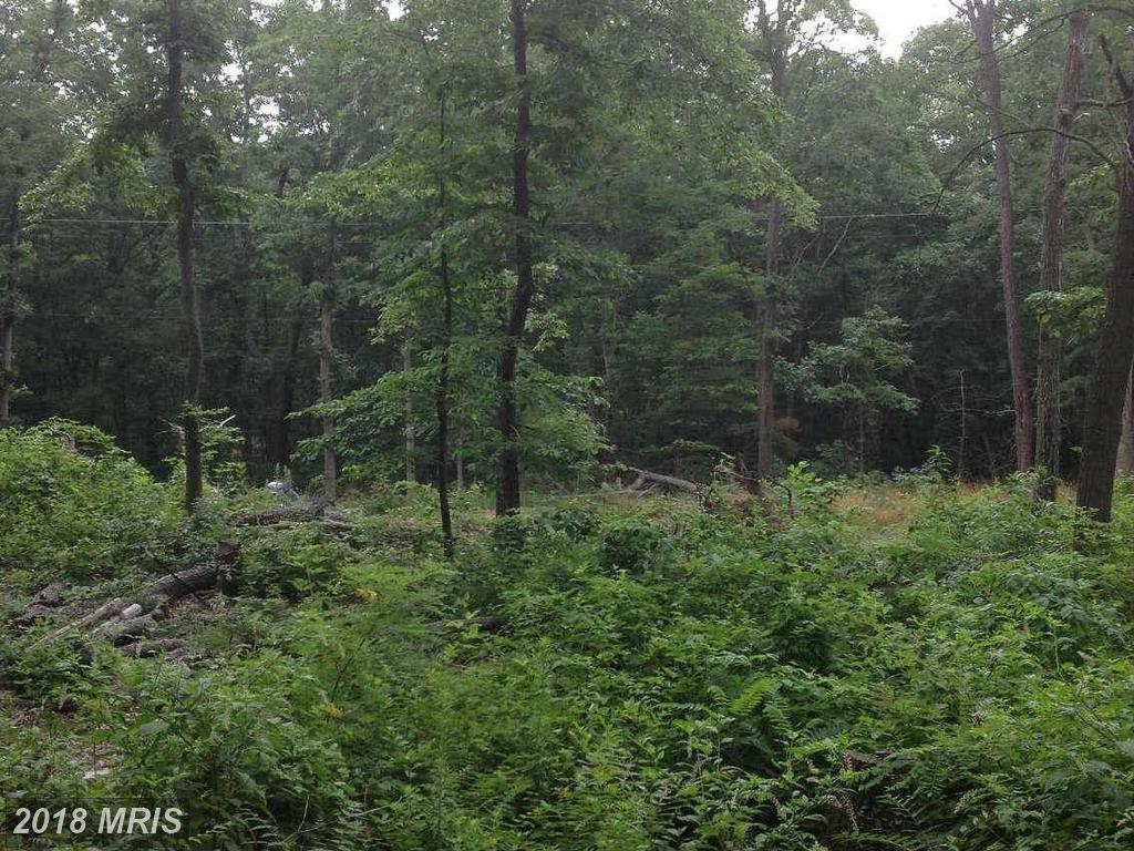 Hawk Trail - Photo 1