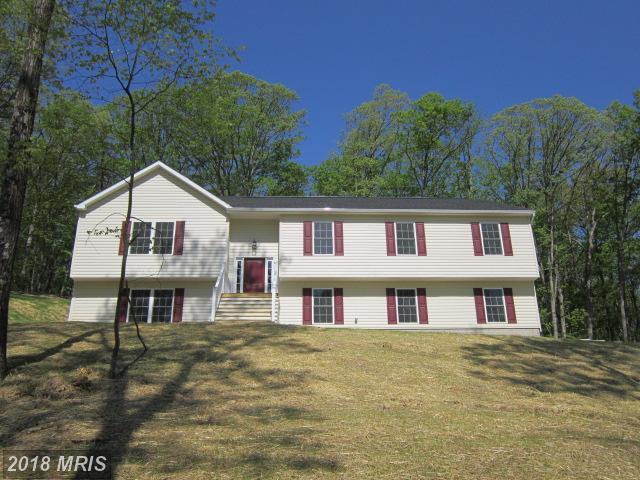 906-A Wardensville Grade Road - Photo 1