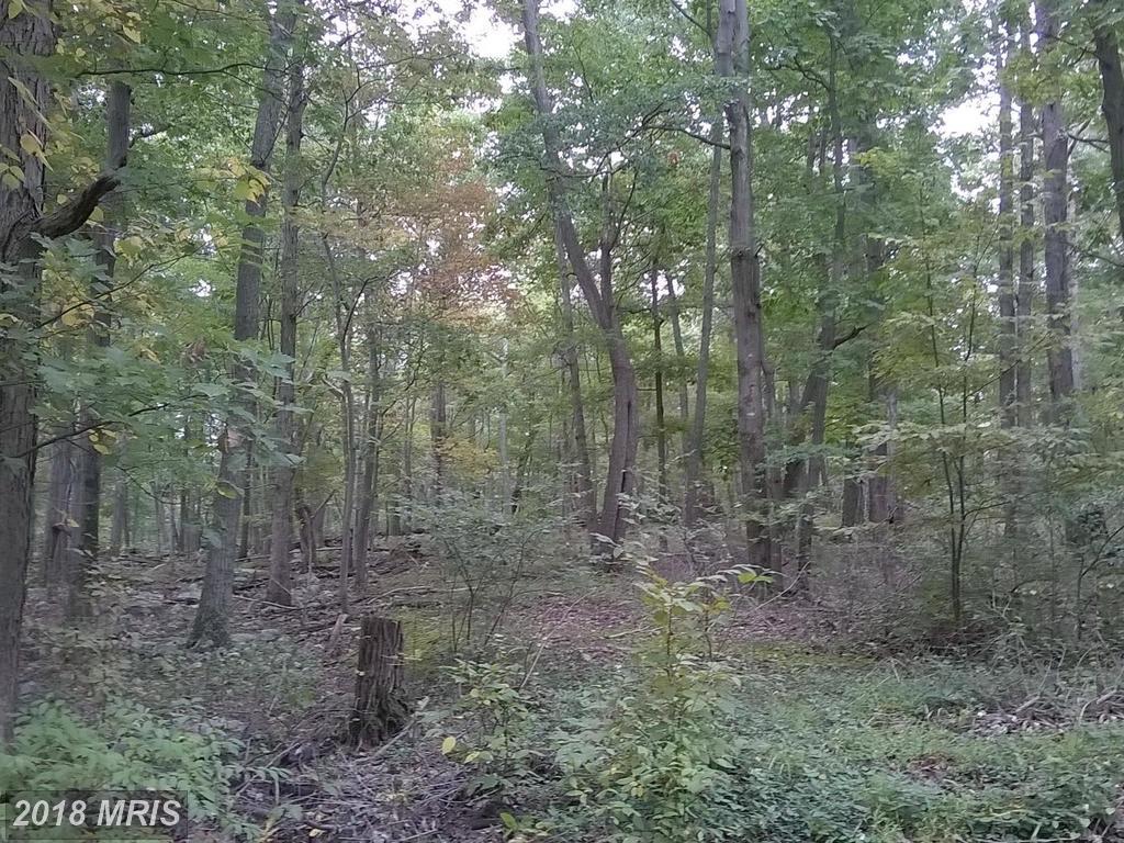 Quail Drive - Photo 1