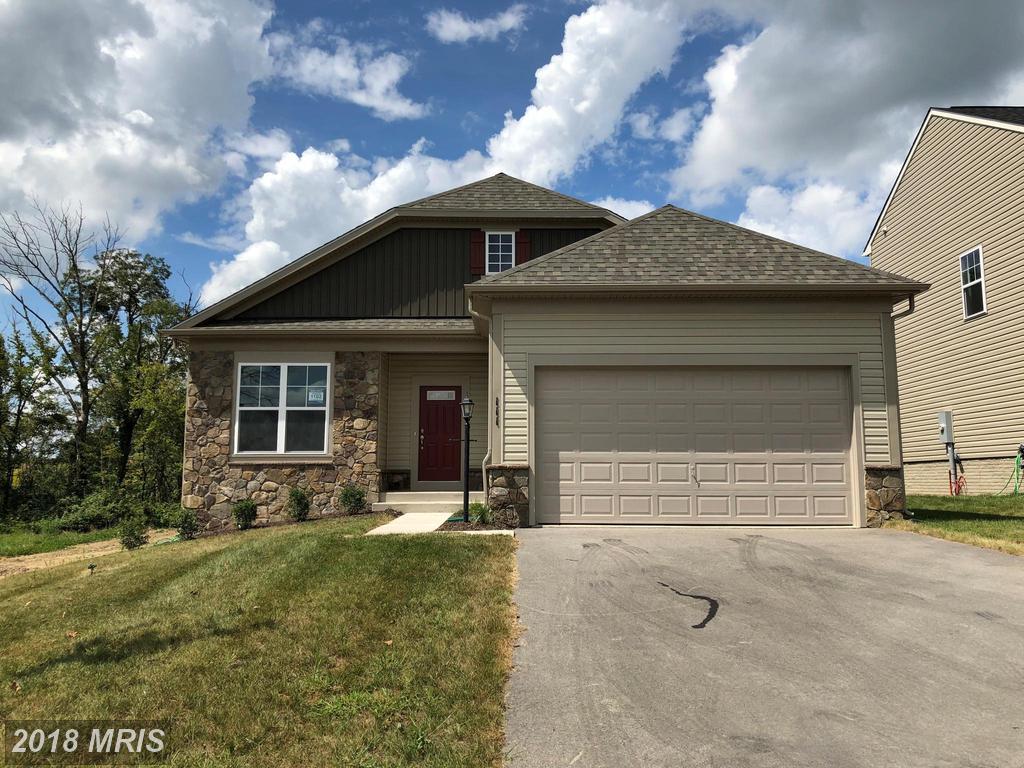 111 Thorny Crown Lane - Photo 1