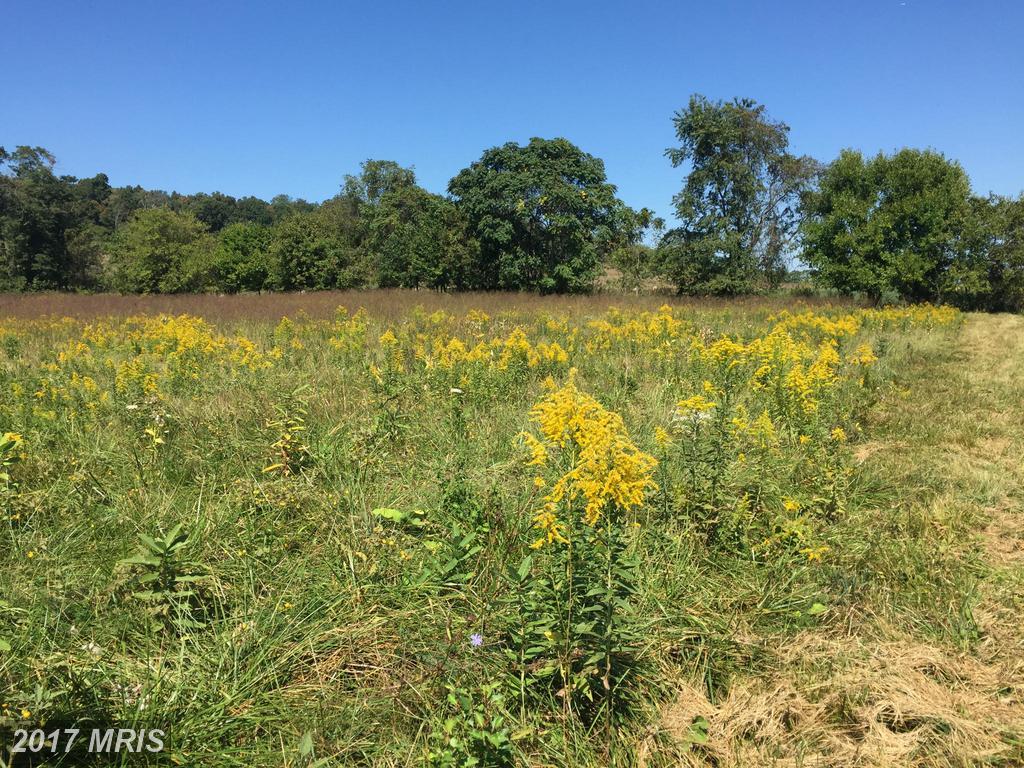 LOT 86 Cedar Creek Grade - Photo 1
