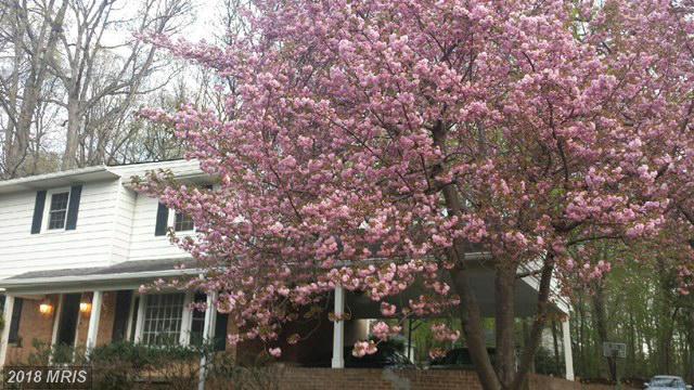 10617 Good Spring Avenue - Photo 1