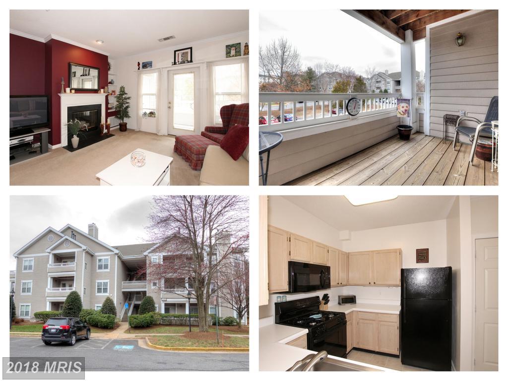 14301 Grape Holly Grove - Photo 1
