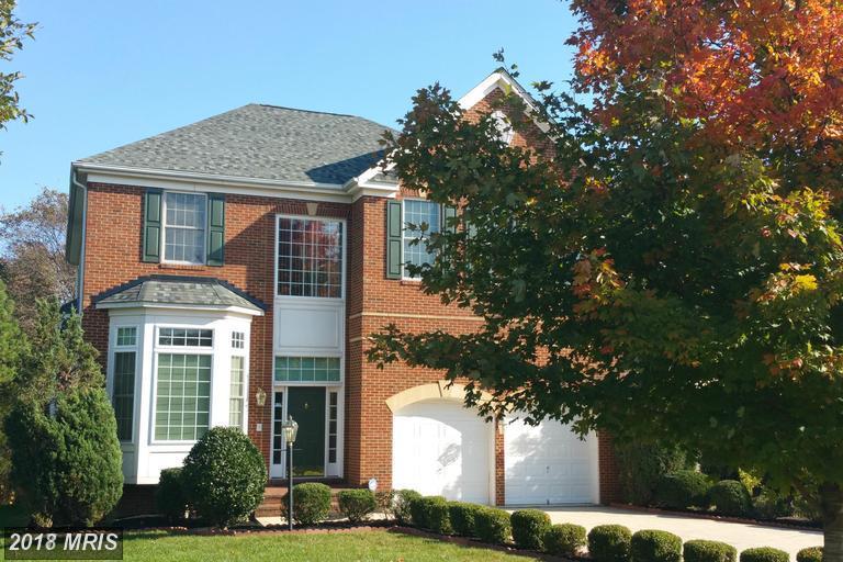 3777 Vernacchia Drive - Photo 1