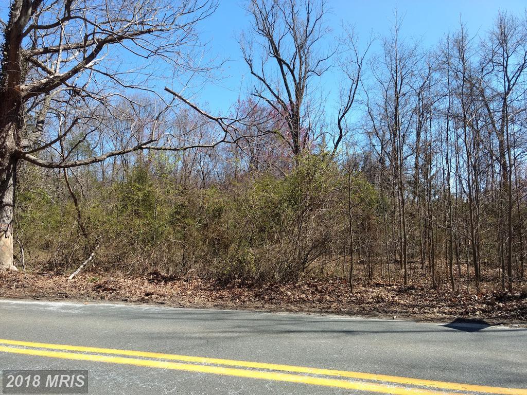 10019 Old Colchester Road - Photo 1
