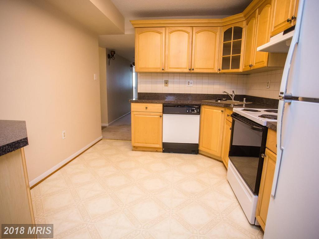 11733 Ledura Court - Photo 1