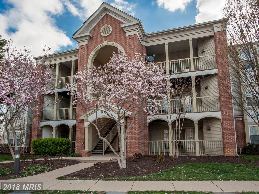 6602 Thackwell Way - Photo 1
