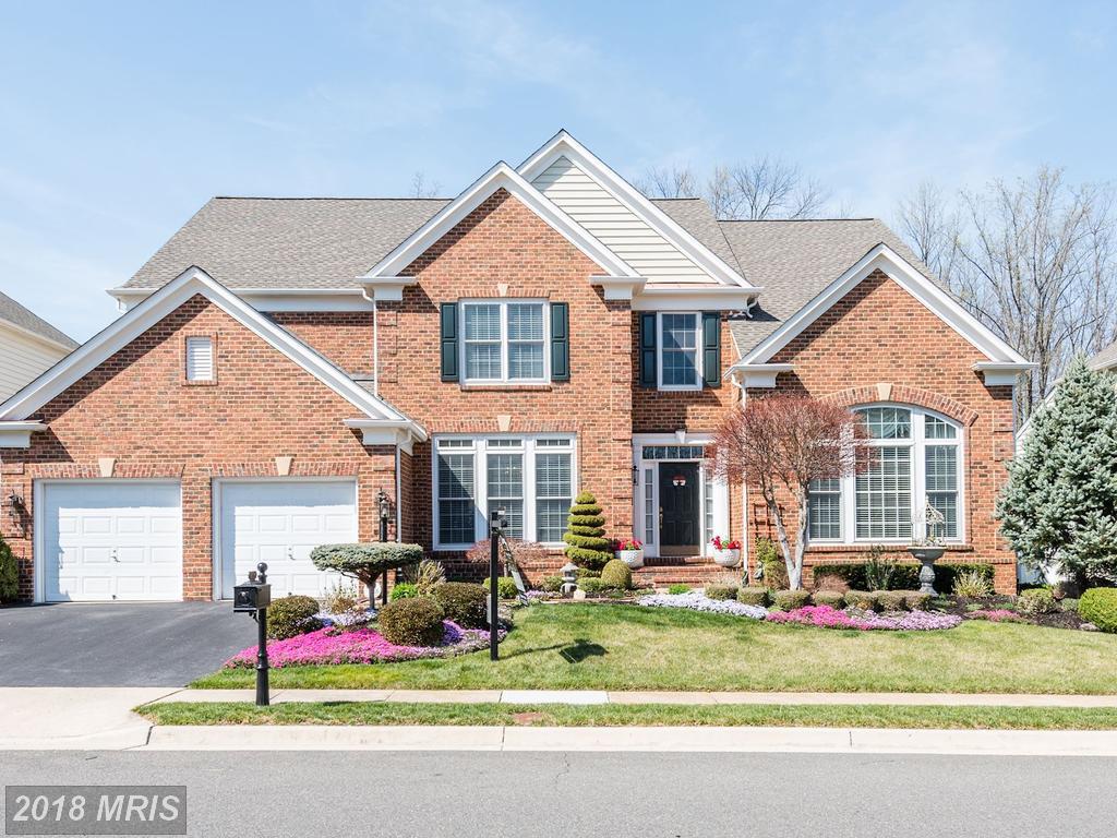 8136 Bluebonnet Drive - Photo 1