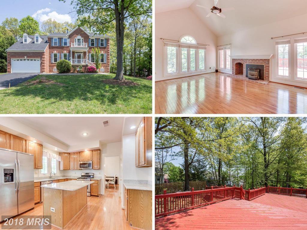 4707 Lewis Woods Court - Photo 1