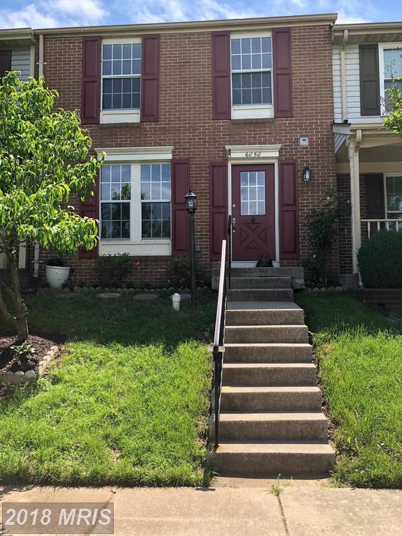6050 Buttercup Court - Photo 1