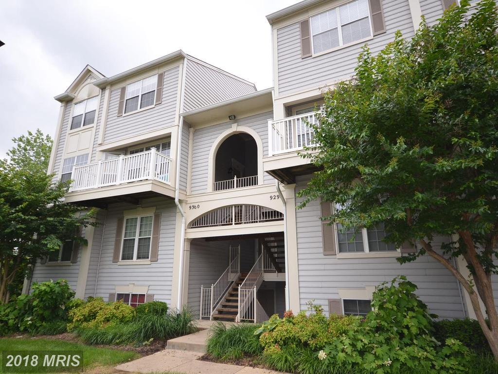 9298 Cardinal Forest Lane - Photo 1