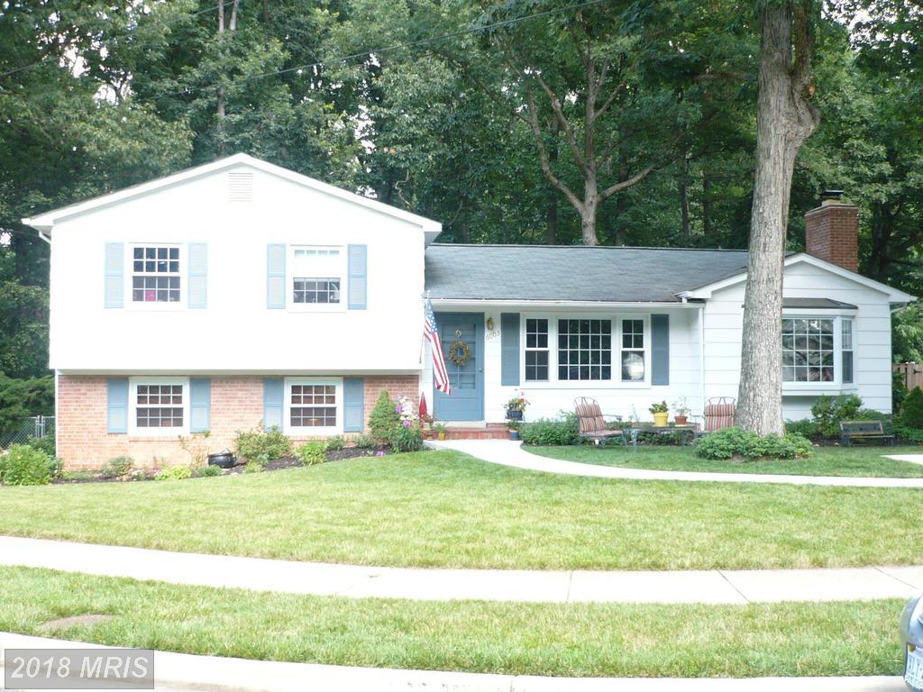 6003 Larkspur Drive - Photo 1