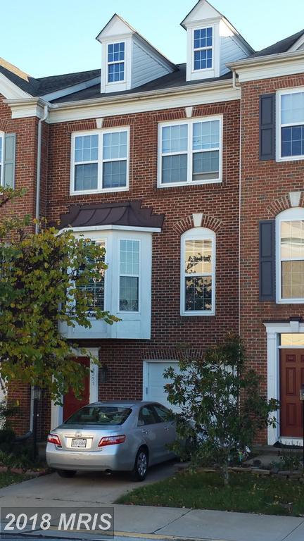 8257 Singleleaf Lane - Photo 1