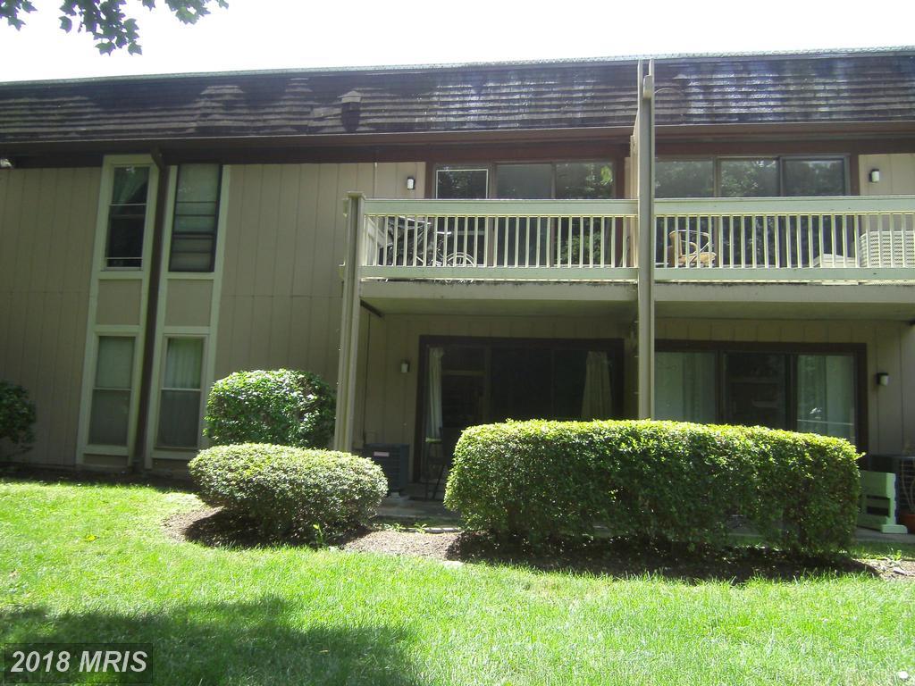 5808-P Royal Ridge Drive - Photo 1