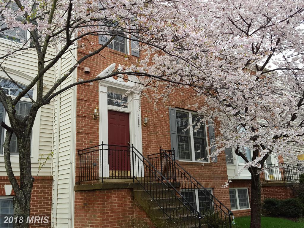 6282 Levi Court - Photo 1
