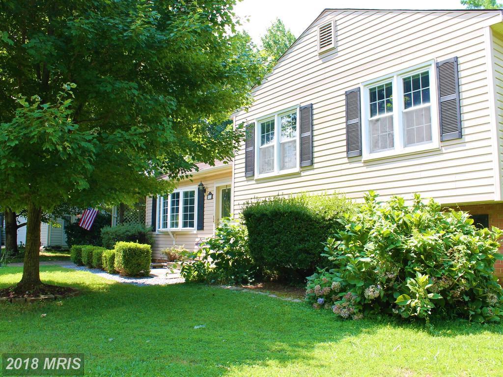 9528 Blackburn Drive - Photo 1
