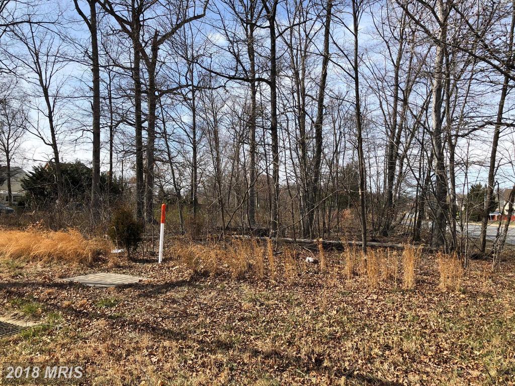 13222 Braddock Road - Photo 1