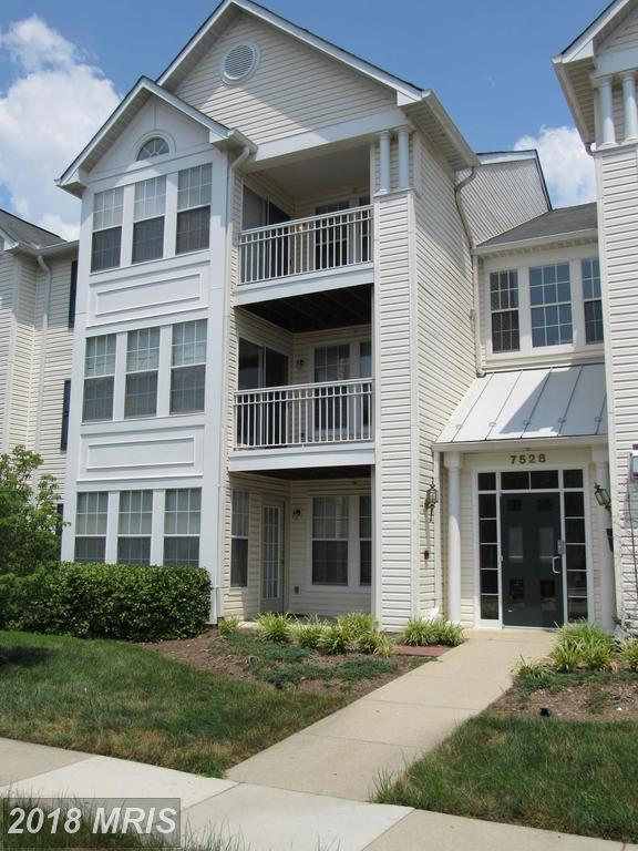 7528 Coxton Court - Photo 1