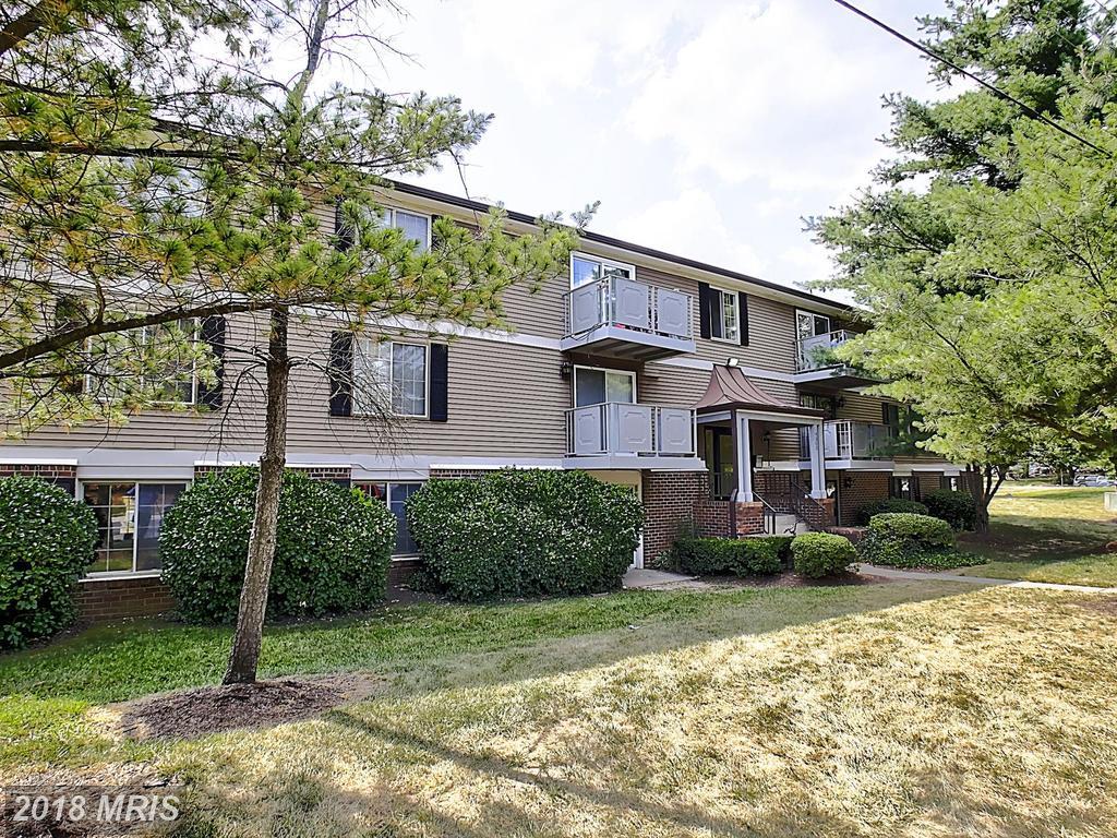 4300 Buckman Road - Photo 1