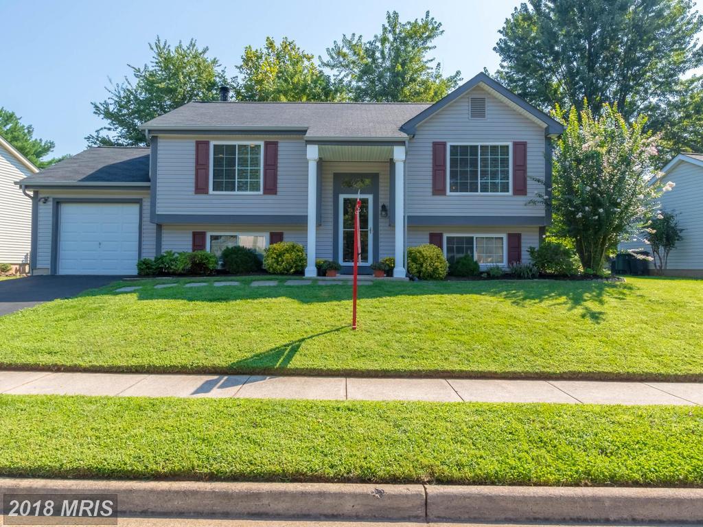 3817 Beech Down Drive - Photo 1