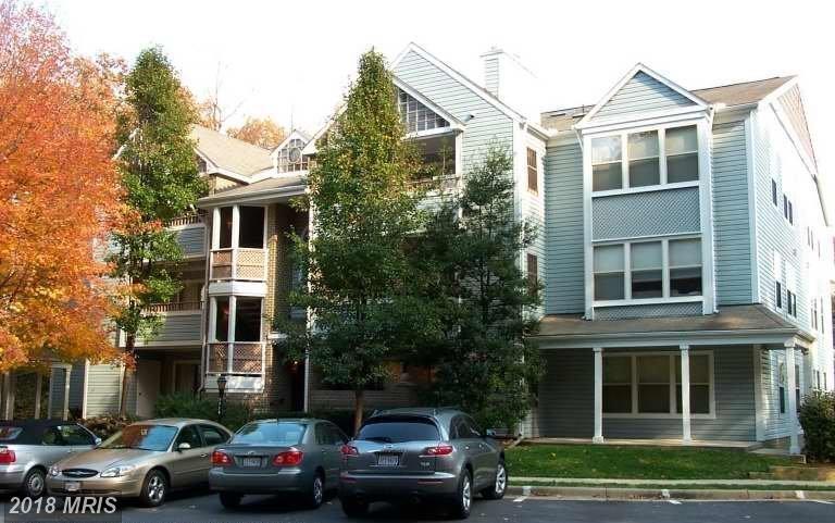 7714 Lafayette Forest Drive - Photo 1