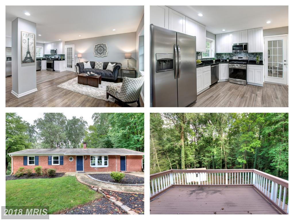 4301 Olley Lane - Photo 1