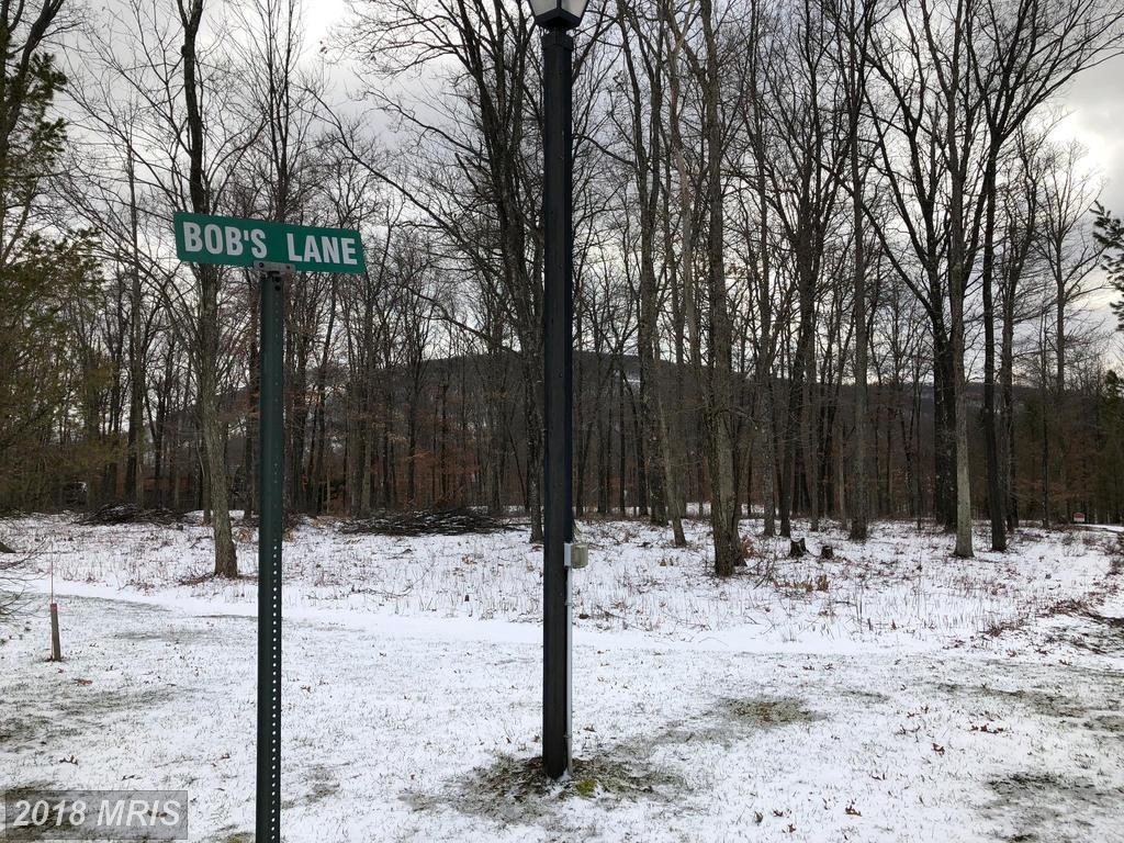 LOT 19 Bob's Lane - Photo 1