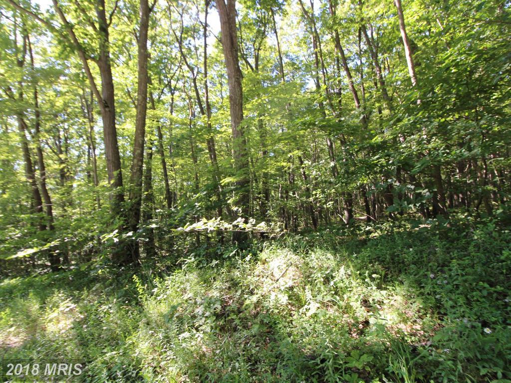 Foy Road - Photo 1