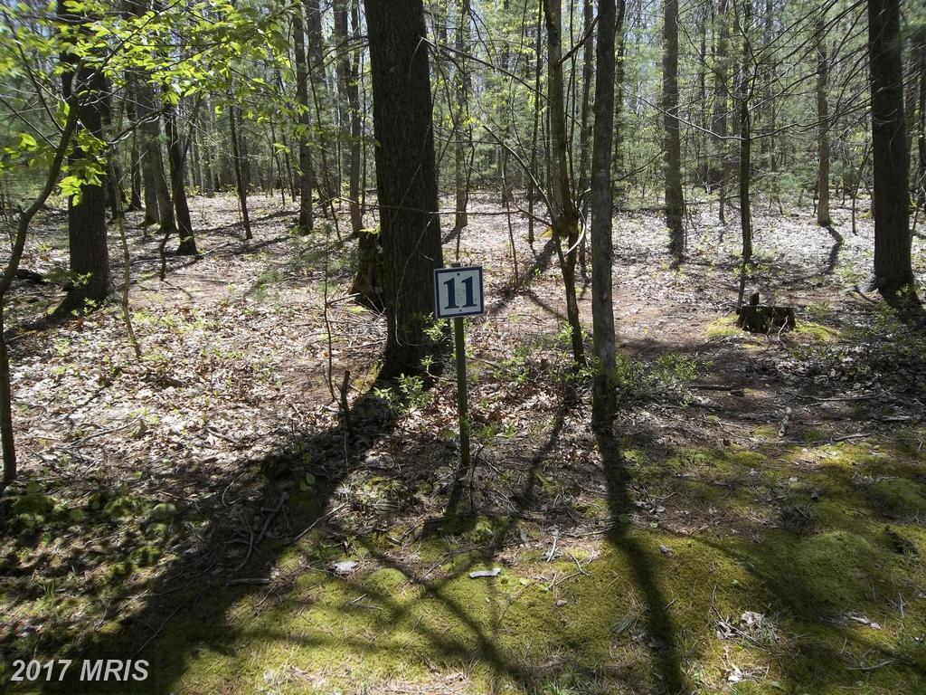 LOT 11 Wood Ridge Road - Photo 1