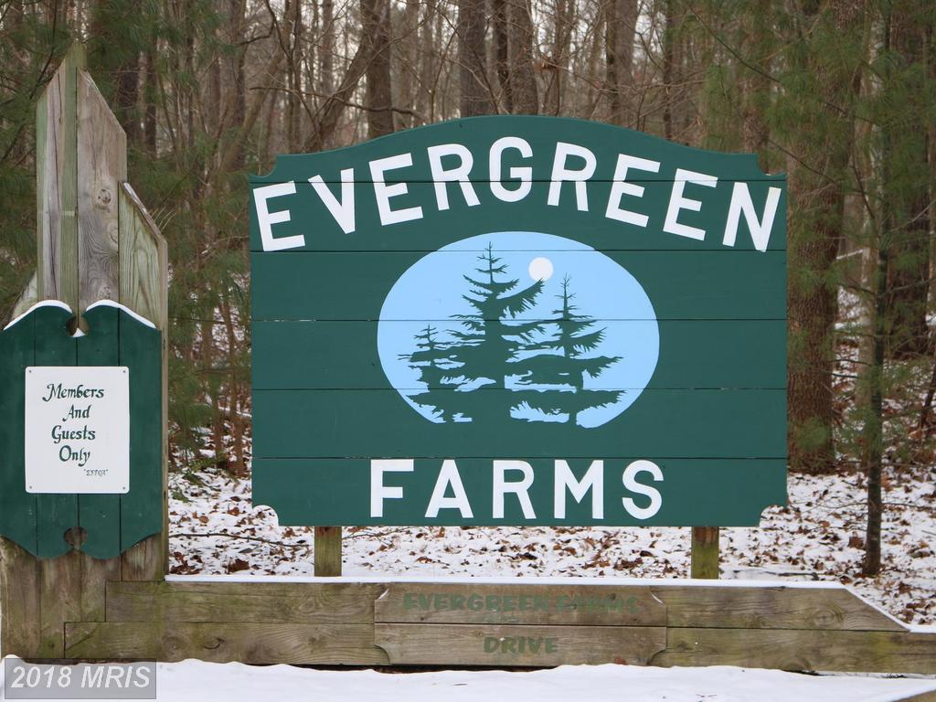 Evergreen Farms Road - Photo 1
