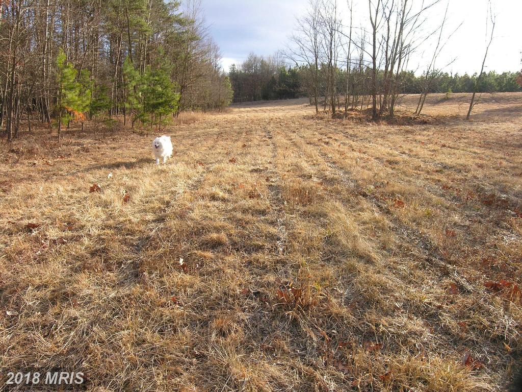 79 Trough View Road - Photo 1